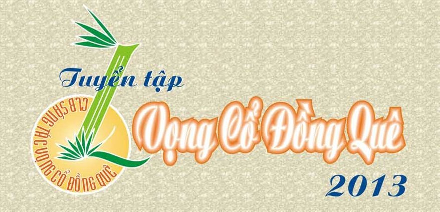 sach vong co dong que 2013 1 1